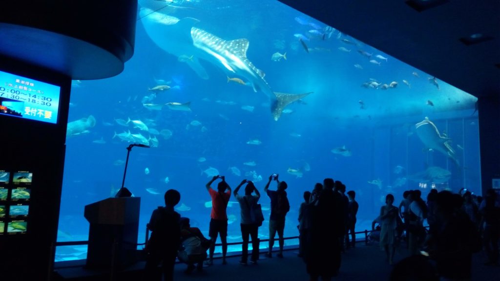 Okinawa Churaumi Aquarium 