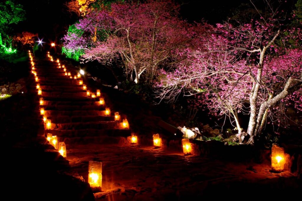 Nakijin Castle Ruin Sakura Festival